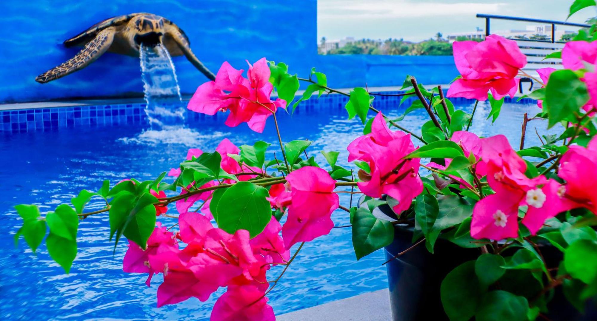 Amber House Lanka Hotel Bentota Buitenkant foto